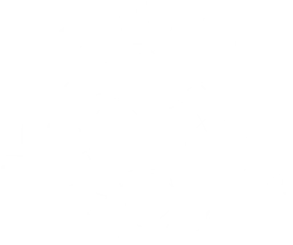 NIN